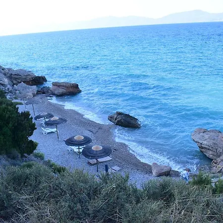 Eugenia Theologos (Phthiotis)